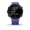 Часы Garmin Forerunner 45S ирис