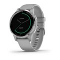 Часы Garmin Vivoactive 4 серые с серебристым безелем